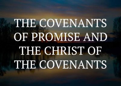 The covenants of promise and the Christ of the covenants
