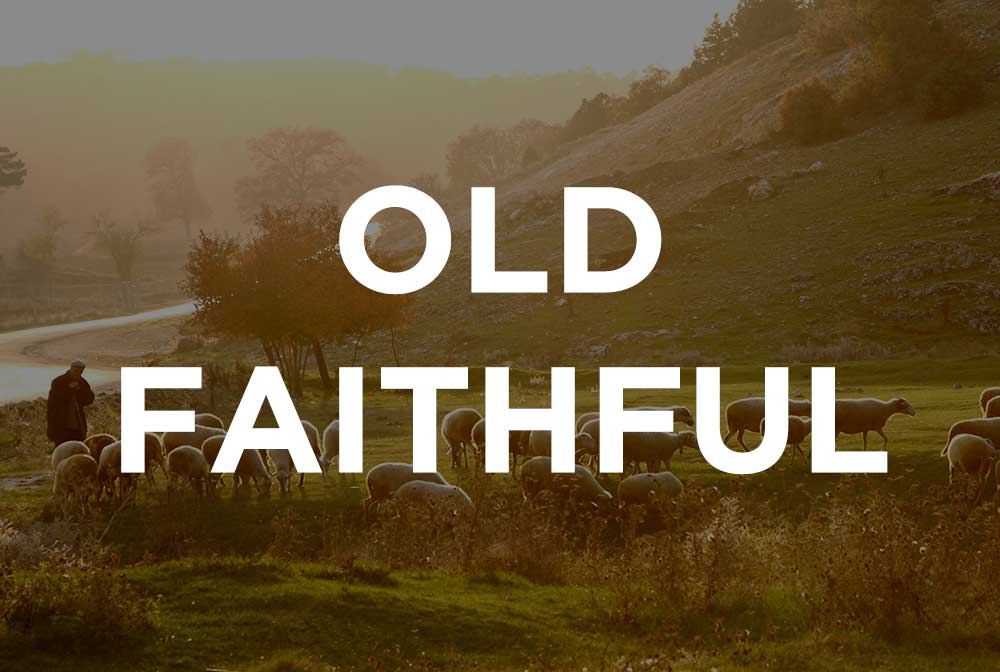 Old Faithful - Winston Bosch- Psalm 23 Sermon