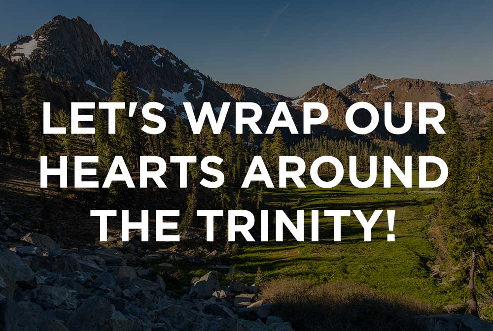 The Trinity - Aiden Plug