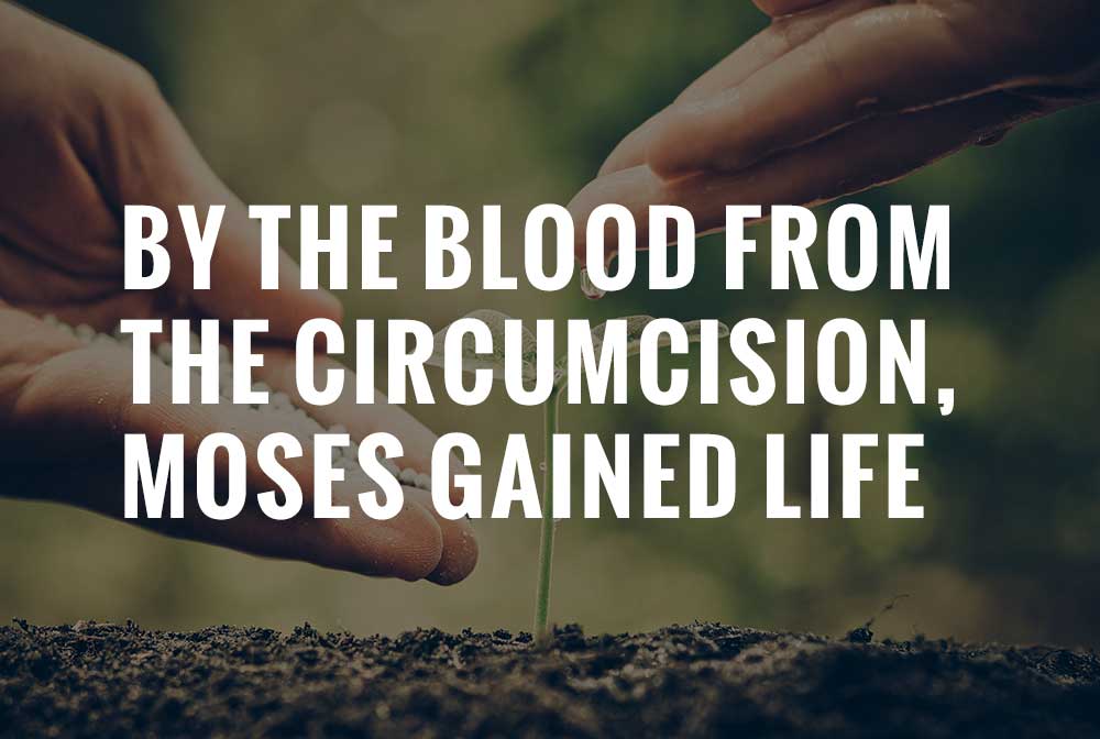 By the Blood from Circumcision Moses Gained Life - Rev. Han Gil Lee