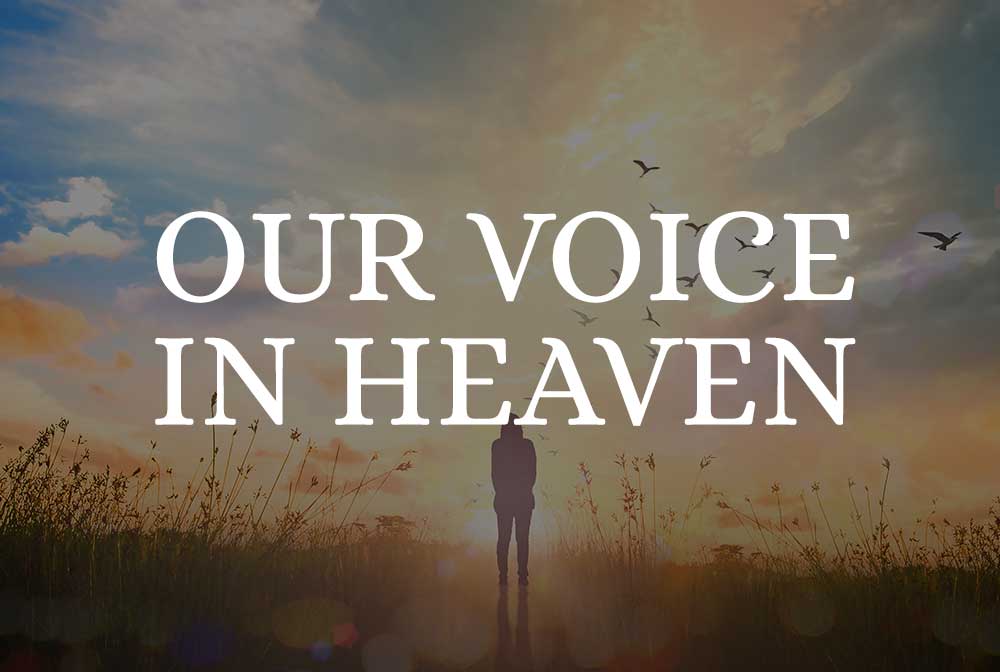 Our Voice in Heaven, Vandeburgt